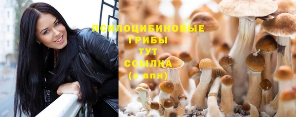 гидропоника Аркадак