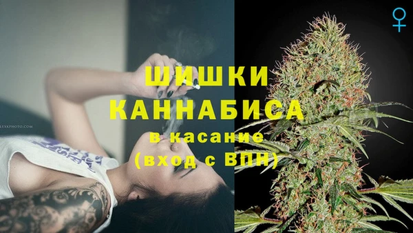 гидропоника Аркадак