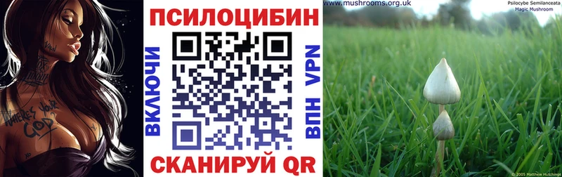Галлюциногенные грибы Psilocybe  наркота  Балаково 