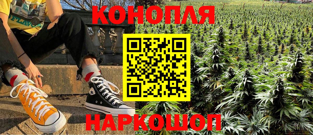 Конопля гибрид  Каннабис семена  Балаково  Конопля Bruce Banner 